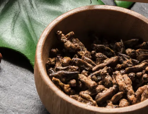 HaloGrow He Shou Wu ingredient for traditional hair care